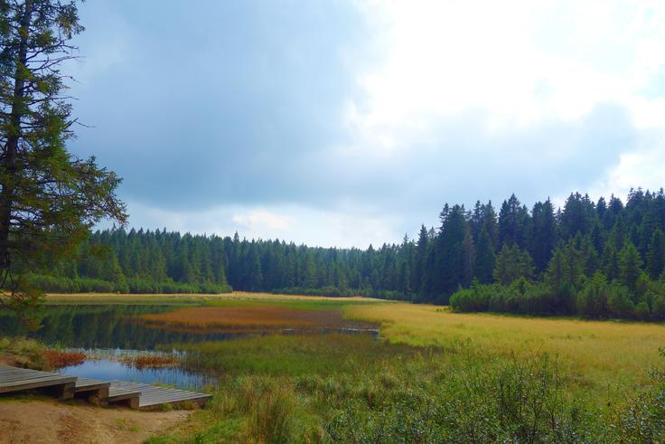 Črno jezero, skrito sredi pohorskih gozdov, deluje mirno in skoraj skrivnostno. | Foto: Shutterstock