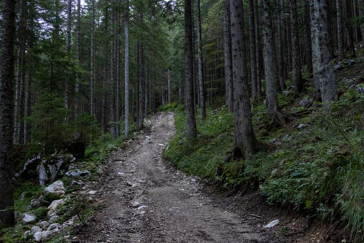 Vlaka s konca ceste na Pokljuki proti Konjščici. | Foto: Matej Podgoršek