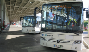 Sindikati vložili tožbe zoper avtobusna podjetja