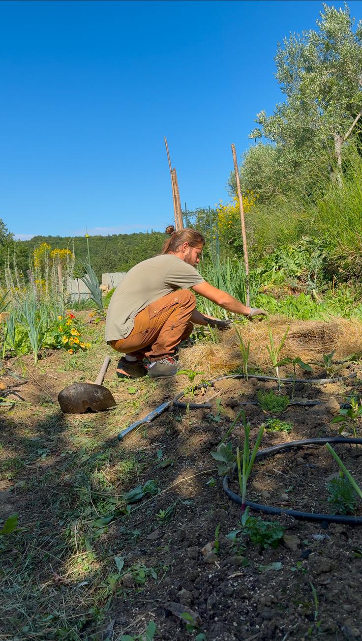 Luka pravi, da življenje v naravi zanj ni pobeg, temveč zavestna izbira. | Foto: Osebni arhiv