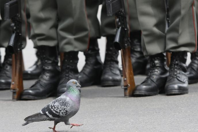 avstrijska vojska | Foto Reuters