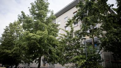 Javni hiši v Ljubljani