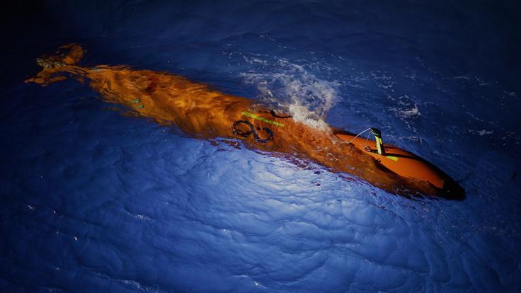 Samodejno plovilo Seabed Constructor išče ostanke malezijskega letala. | Foto: Ocean Infinity