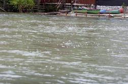 FOTO: Avstrijci dvignili zapornice, narasla Drava grozi Mariboru in okolici