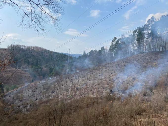 Zagorelo je okoli devet hektarjev površin. | Foto: PGD Sostro