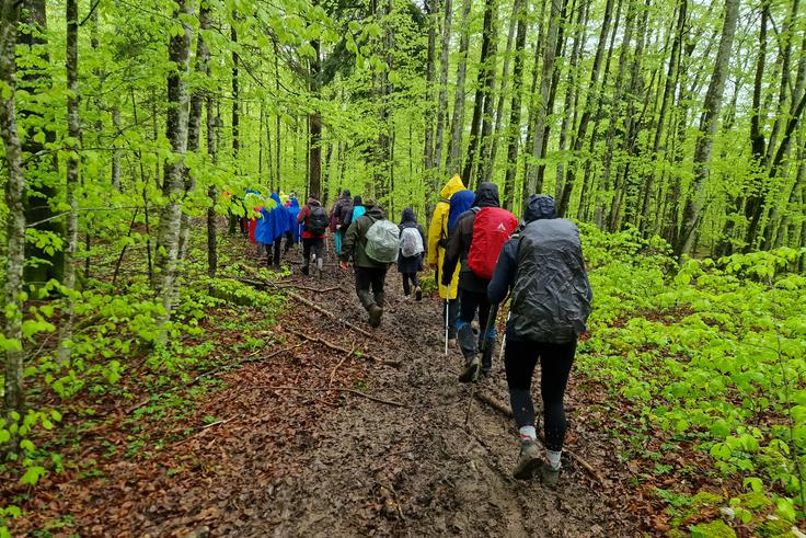 Na pohodu po medvedovih stopinjah smo letos izkusili hojo v blatu in dežju. | Foto: Matej Podgoršek