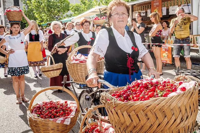 Praznik češenj | Foto Arhiv organizatorja