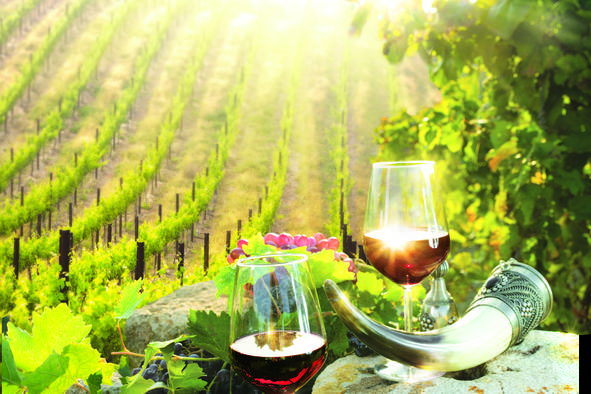 Vino, ki razkriva skrivnosti neodkrite Makedonije