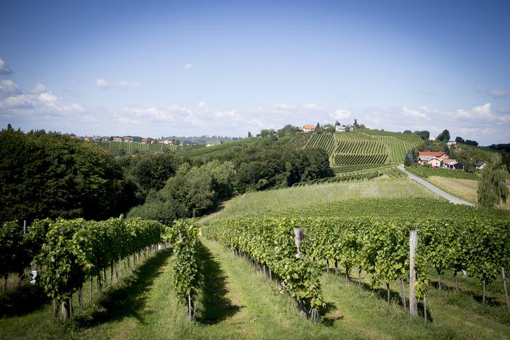Jeruzalem, Prlekija | Foto: Ana Kovač
