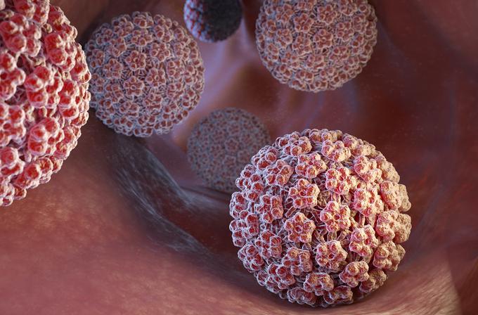"Z zmanjšanjem kroženja virusa v splošni javnosti se zmanjša tudi tveganje okužbe pri spolnem stiku – do te mere, da smo pri trenutno uporabljenih cepivih proti HPV priča močnemu "zaščitnemu učinku črede." | Foto: Getty Images