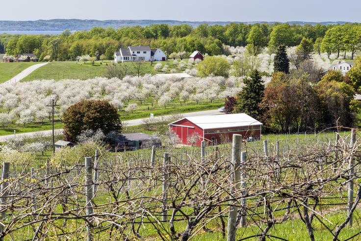 Traverse City, Michigan, ZDA - za ljubitelje vina | Foto: Thinkstock