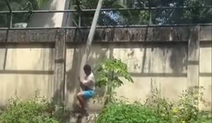 Devetnajstletnik splezal v ogrado k levinji. Ubila ga je pred obiskovalci.