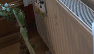 Odstranil delilnike na radiatorjih in kljub kazni plačuje do petkrat manj (video)