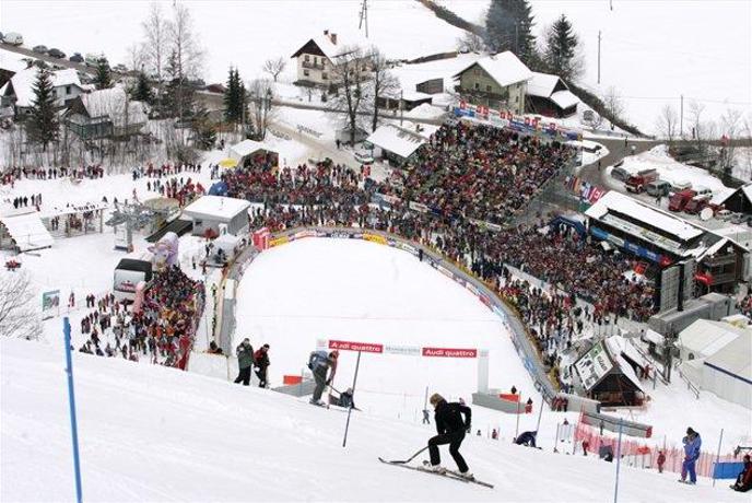 V Kranjsko Goro na Zlato lisico