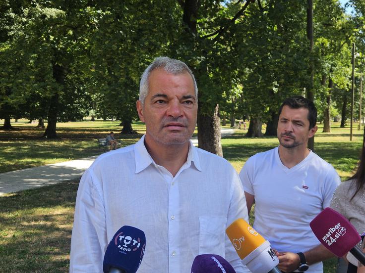 Mariborski župan je ob tem prepričan, da so se lotili zelo dobrega projekta in da bodo, ko bo predvidoma konec septembra prenova zaključena, spet dobili dvoredni kostanjev drevored, kakršen je nekoč na tem mestu že stal. | Foto: Gregor Mlakar/STA