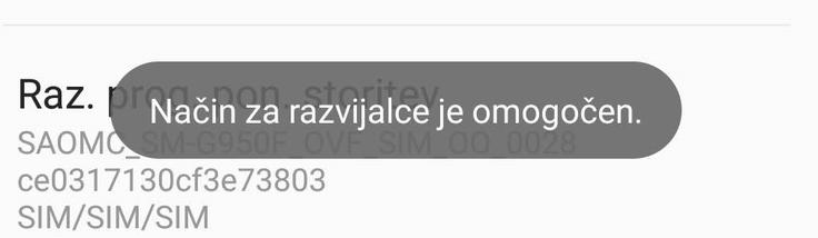 Možnosti za razvijalce, Android | Foto: Matic Tomšič / Posnetek zaslona