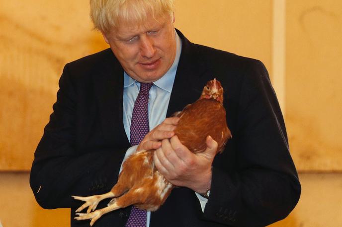 Boris Johnson | Boris Johnson med torkovim obiskom na perutninski farmi blizu Newporta v Walesu | Foto Reuters