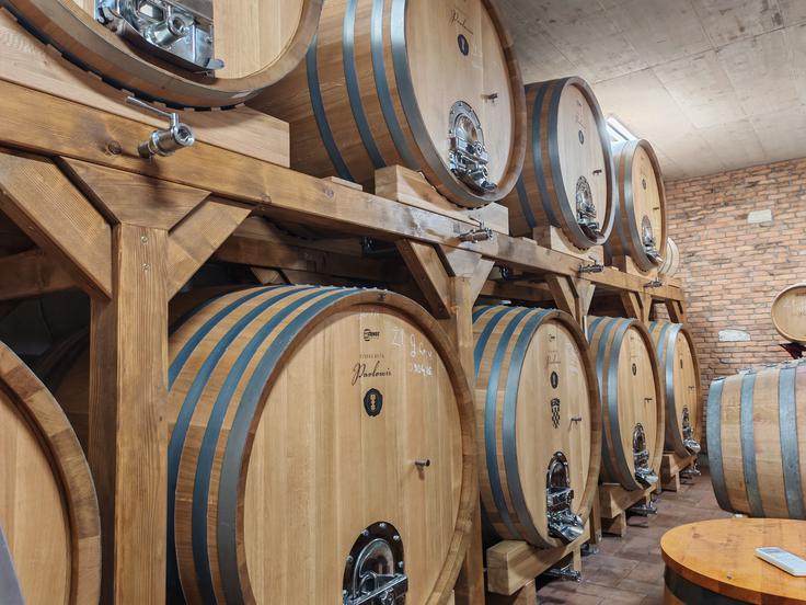 Vino zorijo v hrastovih sodih.  | Foto: Ksenija Mlinar