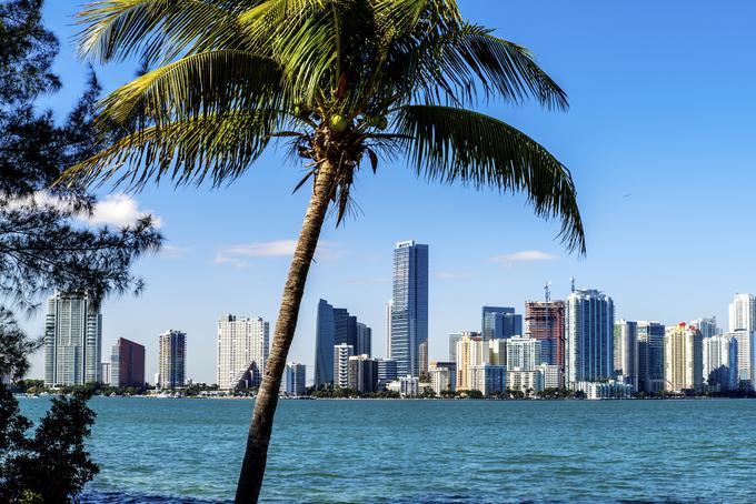 Poletite v Miami že za 703 evrov | Foto: Thinkstock