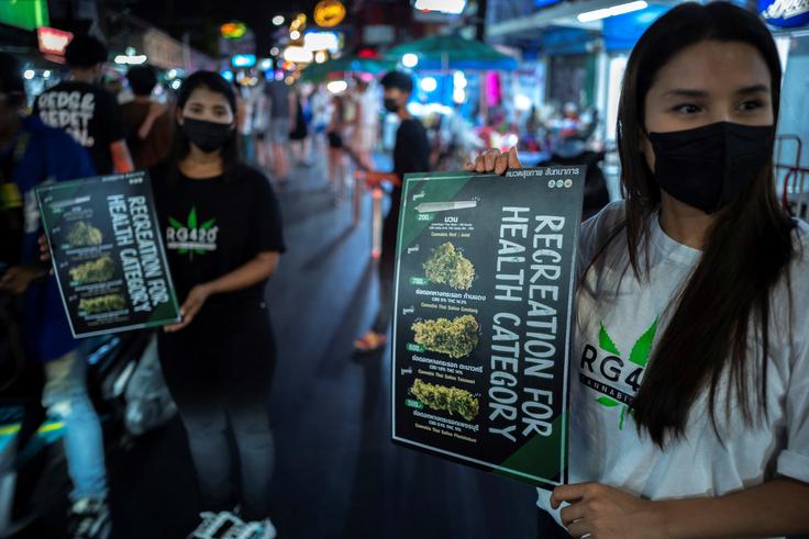 Tajska, marihuana | Foto: Reuters