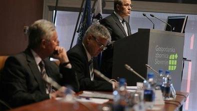 Svetlik: Na referendumu le zakoni, s katerimi bi plačali socialno varnost