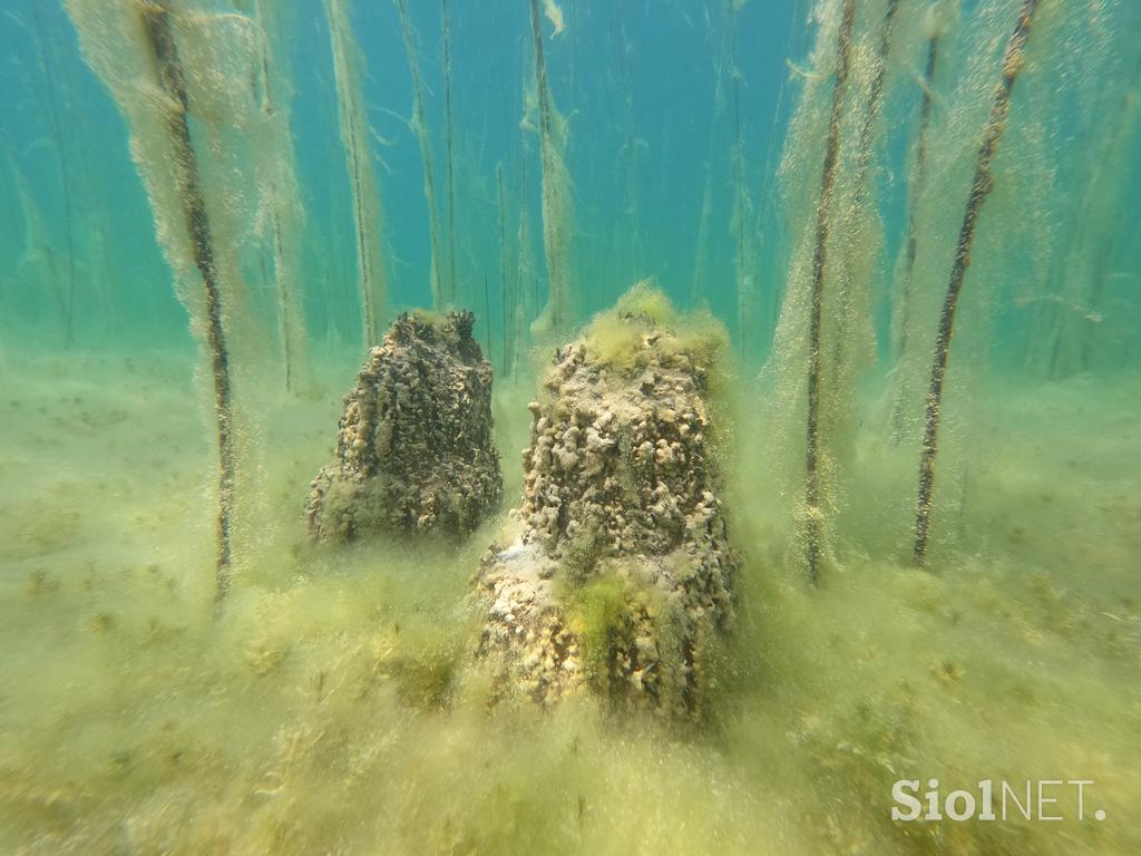Ohrid, Ohridsko jezero
