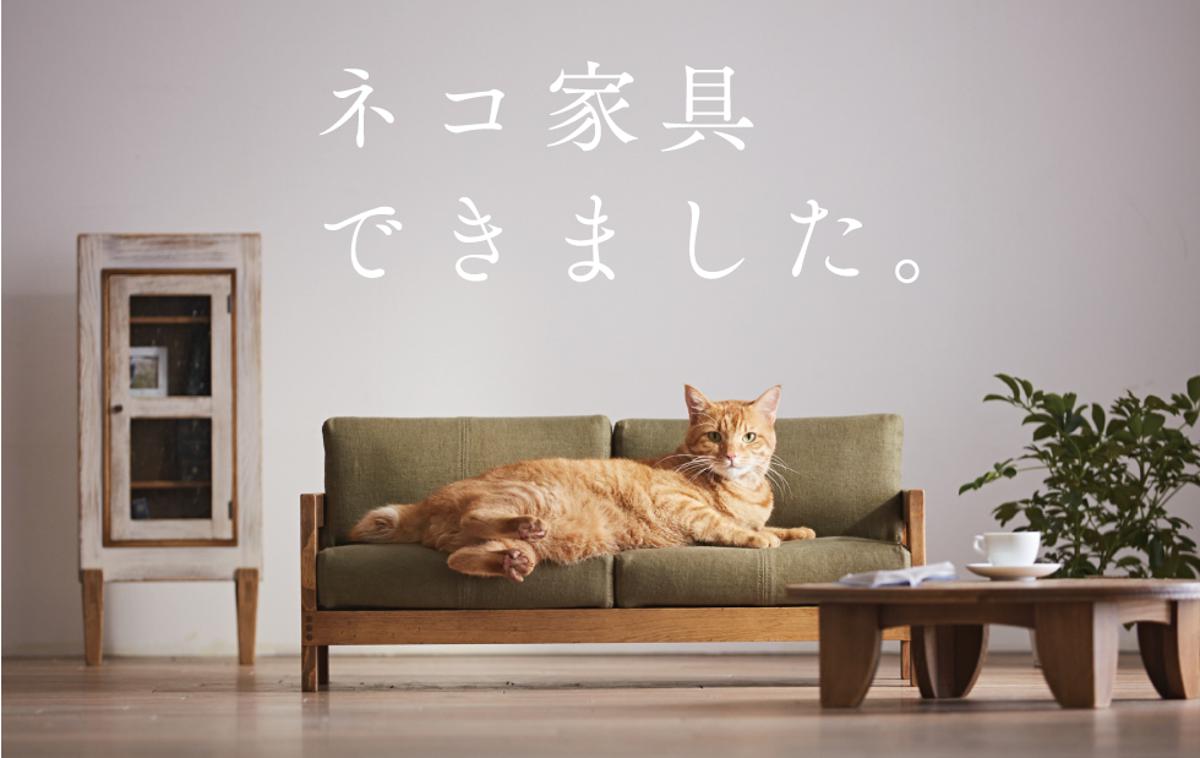 pohištvo za mačke | Foto Okawa Kagu