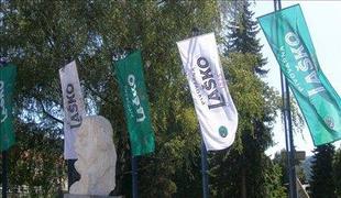 Odvisne družbe Pivovarne Laško tožijo Šrota za 116,7 milijona evrov