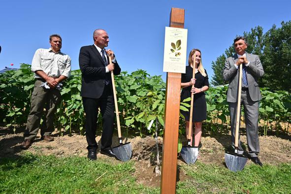 Pahor ob sejmu Agra: kriza je dejstvo, kmetom naj pomaga država #video