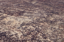 Grozljivi prizori iz Ukrajine: skoraj vse je uničeno #video