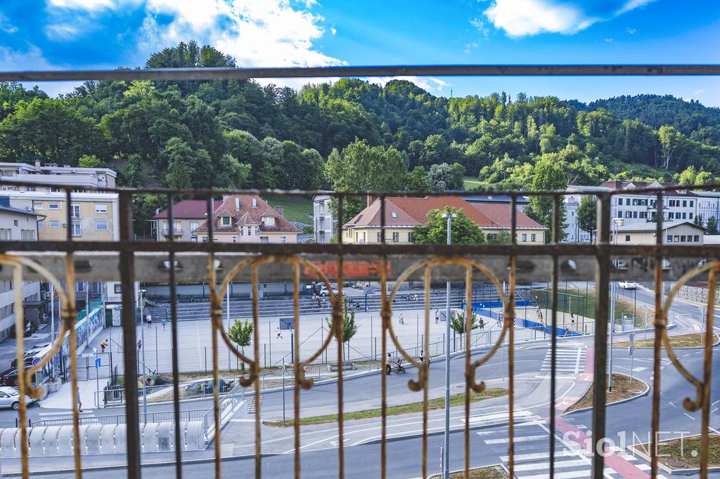 Vila Trbovlje obnova