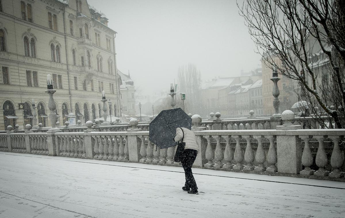 sneg v Ljubljani | Foto Ana Kovač