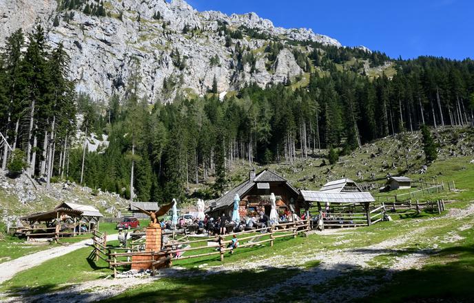 Poleti planinski raj, pozimi snežna pravljica #video