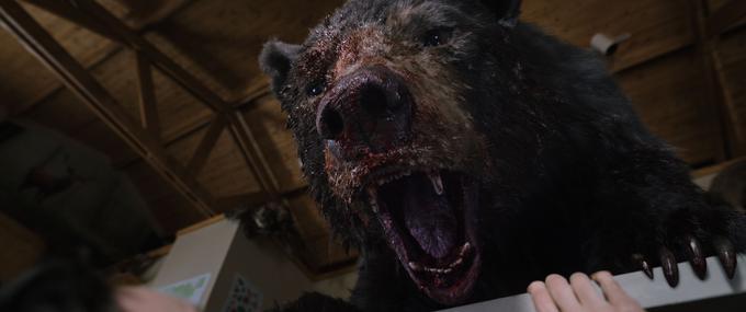 Medved na koki | Foto: Karantanija Cinemas