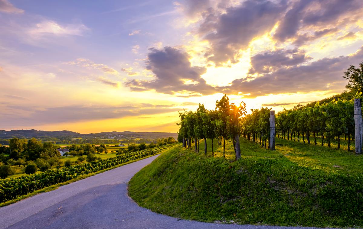 Vipavska dolina | Foto Shutterstock