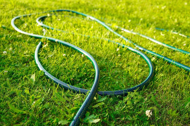 vrt | Foto: Shutterstock