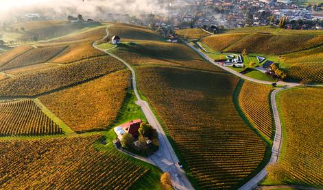 Slovenska Toskana, ki vas bo očarala: vino, razgled in popoln mir med vinogradi #nagradnaigra