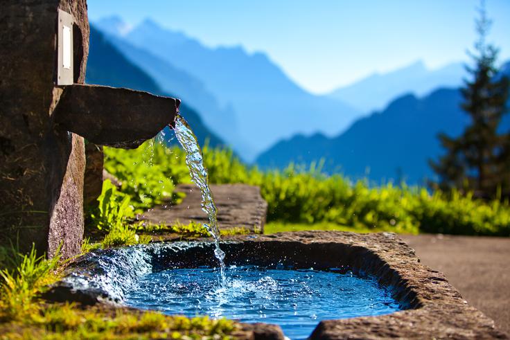 Alpe čista voda izvir | Foto: Shutterstock