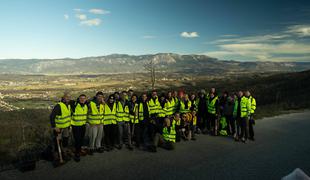 McDonald's posadil tri tisoč novih dreves