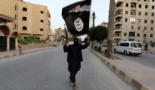Arabske države za soočenje z džihadisti IS