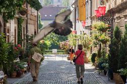 Ljubljanska ulica z vznemirljivo preteklostjo in sedanjostjo (foto)