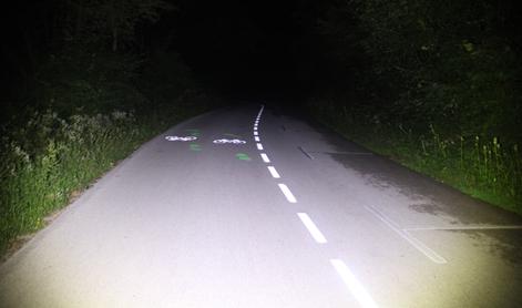 Ste videli kolesarsko nesrečo na območju Bleda? Lahko pomagate policiji.