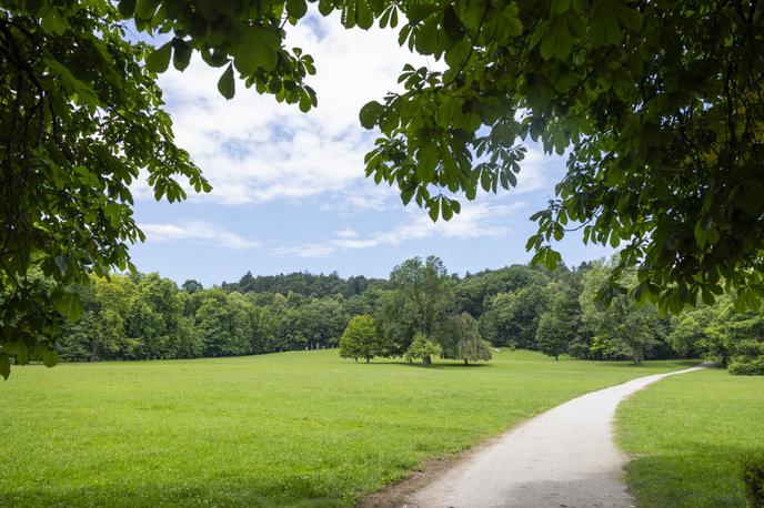 Tivoli, Ljubljana | Sprejetje načrta upravljanja je predvideno do konca leta, prav tako uskladitev občinskega odloka o krajinskem parku, do takrat pa množičnih prireditev in dogodkov na tem območju ne bo. | Foto STA