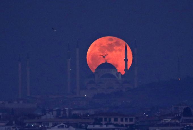 Takole velika Luna med julijskim mrkom ne bo, saj bo na točki največje oddaljenosti od Zemlje, bo pa med popolnim mrkom najverjetneje podobne barve. | Foto: Reuters