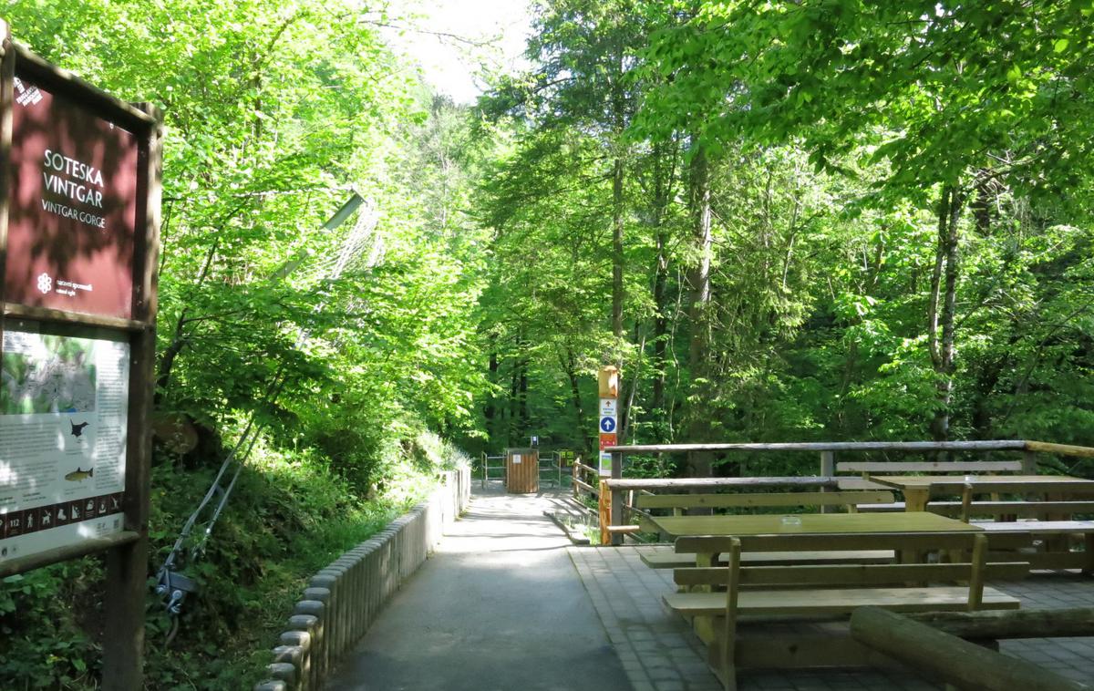 Blejski vintgar | Foto STA