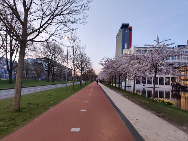 Pot v službo na kampusu tehnične univerze Delft | Foto: Osebni arhiv