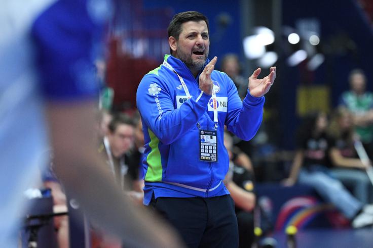 Ljubomir Vranješ je bil v preteklosti selektor Madžarske. | Foto: Reuters