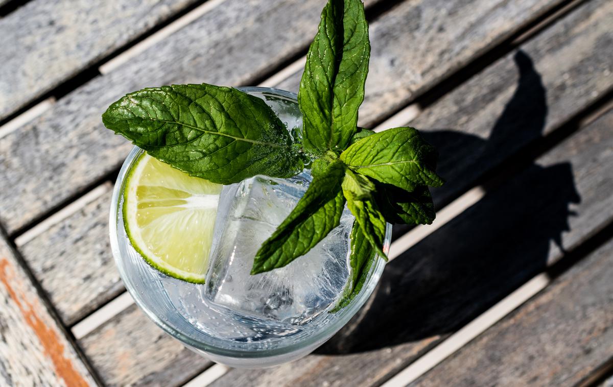 gin tonic | Foto Thinkstock