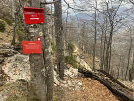 Suhadolnik Kokrško sedlo