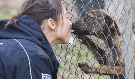 Veterinar Matej Zupanc svari pred pasjimi poljubčki: lahko so zelo zelo nevarni
